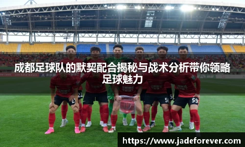 成都足球队的默契配合揭秘与战术分析带你领略足球魅力